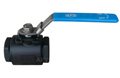 APV- Australian Pipeline Valve